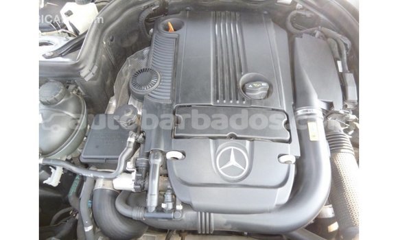 Buy Import Mercedes-Benz 250 Other Car in Import - Dubai in Barbados Buy Import Mercedes-Benz 250 Other Car in Import - Dubai in Barbados