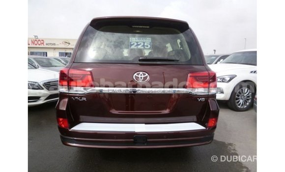 Buy Import Toyota Land Cruiser Brown Car in Import - Dubai in Barbados Buy Import Toyota Land Cruiser Brown Car in Import - Dubai in Barbados