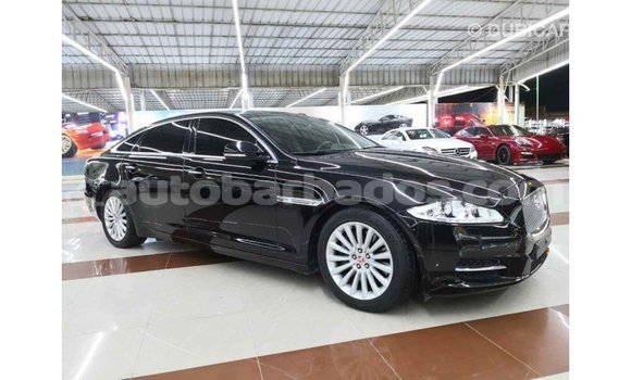 Buy Import Jaguar XJ Black Car in Import - Dubai in Barbados Buy Import Jaguar XJ Black Car in Import - Dubai in Barbados