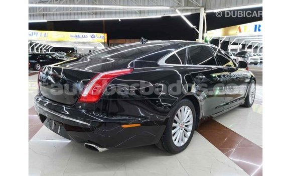 Buy Import Jaguar XJ Black Car in Import - Dubai in Barbados Buy Import Jaguar XJ Black Car in Import - Dubai in Barbados