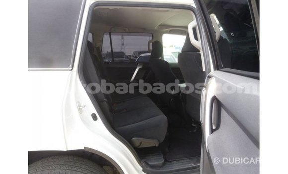 Buy Import Toyota Prado White Car in Import - Dubai in Barbados Buy Import Toyota Prado White Car in Import - Dubai in Barbados
