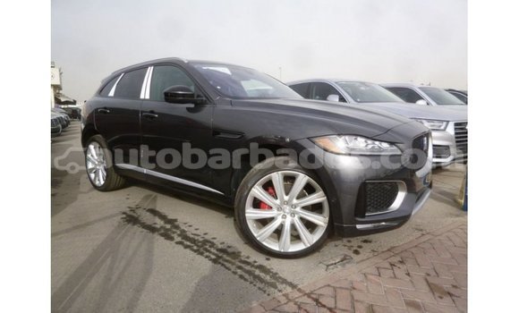 Buy Import Jaguar F-Type Black Car in Import - Dubai in Barbados