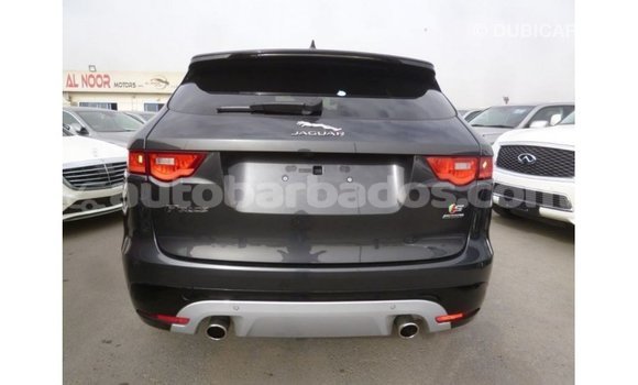 Buy Import Jaguar F-Type Black Car in Import - Dubai in Barbados Buy Import Jaguar F-Type Black Car in Import - Dubai in Barbados