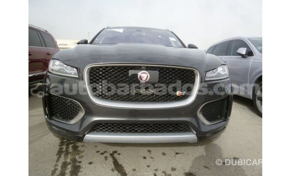 Buy Import Jaguar F-Type Black Car in Import - Dubai in Barbados Buy Import Jaguar F-Type Black Car in Import - Dubai in Barbados