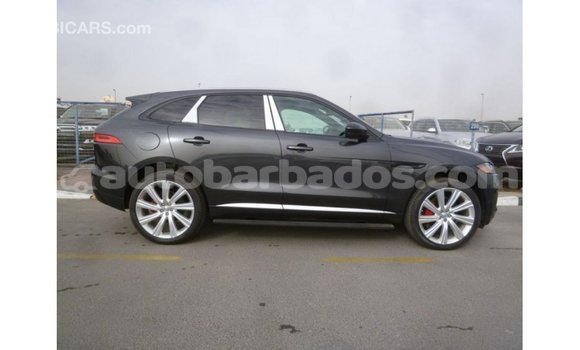 Buy Import Jaguar F-Type Black Car in Import - Dubai in Barbados Buy Import Jaguar F-Type Black Car in Import - Dubai in Barbados