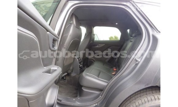 Buy Import Jaguar F-Type Black Car in Import - Dubai in Barbados Buy Import Jaguar F-Type Black Car in Import - Dubai in Barbados