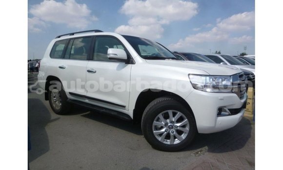 Buy Import Toyota Land Cruiser White Car in Import - Dubai in Barbados Buy Import Toyota Land Cruiser White Car in Import - Dubai in Barbados
