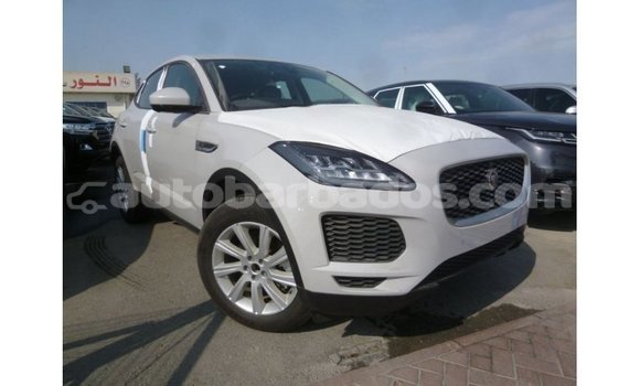 Buy Import Jaguar E-Pace White Car in Import - Dubai in Barbados