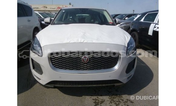 Buy Import Jaguar E-Pace White Car in Import - Dubai in Barbados Buy Import Jaguar E-Pace White Car in Import - Dubai in Barbados