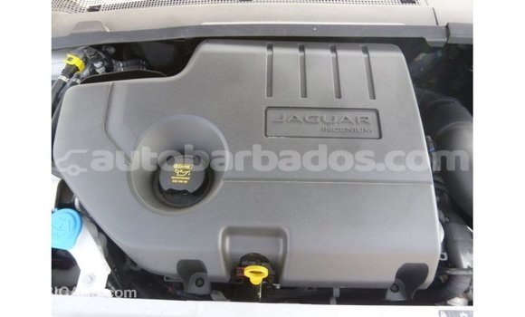 Buy Import Jaguar E-Pace White Car in Import - Dubai in Barbados Buy Import Jaguar E-Pace White Car in Import - Dubai in Barbados