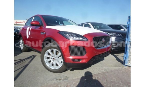 Buy Import Jaguar E-Pace Red Car in Import - Dubai in Barbados