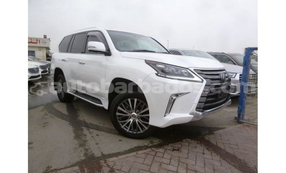Buy Import Lexus LX White Car in Import - Dubai in Barbados Buy Import Lexus LX White Car in Import - Dubai in Barbados