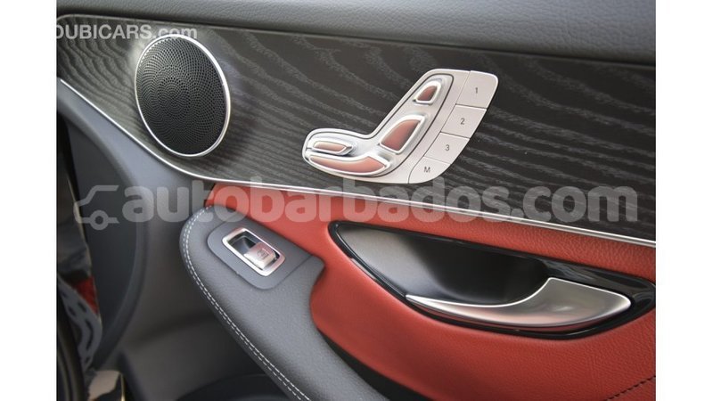 Big with watermark c9747178 94ae 4b39 98dd 6773370065fe