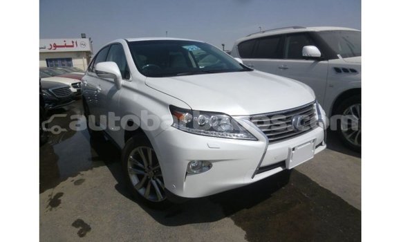 Buy Import Lexus RX White Car in Import - Dubai in Barbados Buy Import Lexus RX White Car in Import - Dubai in Barbados