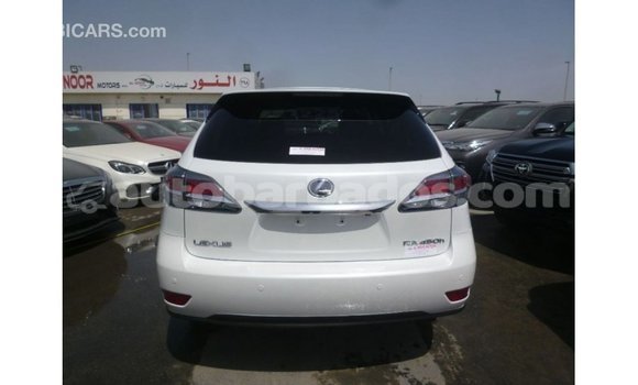Buy Import Lexus RX White Car in Import - Dubai in Barbados Buy Import Lexus RX White Car in Import - Dubai in Barbados