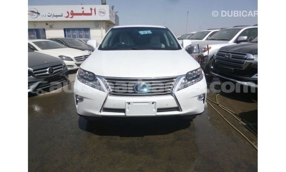 Buy Import Lexus RX White Car in Import - Dubai in Barbados Buy Import Lexus RX White Car in Import - Dubai in Barbados