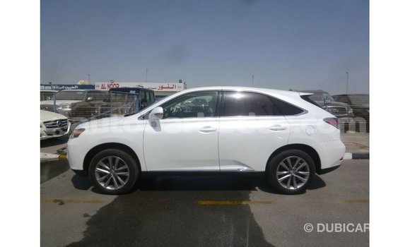 Buy Import Lexus RX White Car in Import - Dubai in Barbados Buy Import Lexus RX White Car in Import - Dubai in Barbados