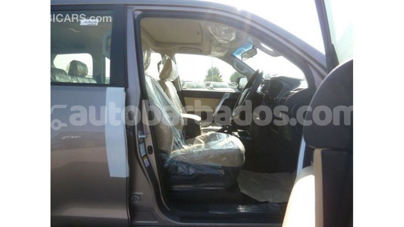 Big with watermark 70596be2 8e24 46b2 842d b4c3e2bc272b