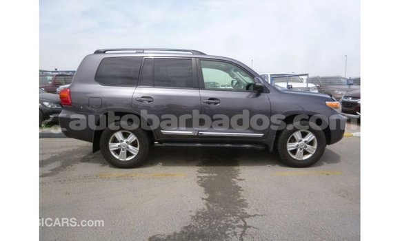 Buy Import Toyota Land Cruiser Other Car in Import - Dubai in Barbados Buy Import Toyota Land Cruiser Other Car in Import - Dubai in Barbados