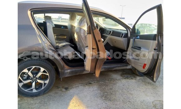 Buy Import Kia Sportage Brown Car in Import - Dubai in Barbados Buy Import Kia Sportage Brown Car in Import - Dubai in Barbados