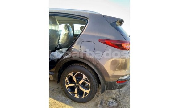 Buy Import Kia Sportage Brown Car in Import - Dubai in Barbados Buy Import Kia Sportage Brown Car in Import - Dubai in Barbados