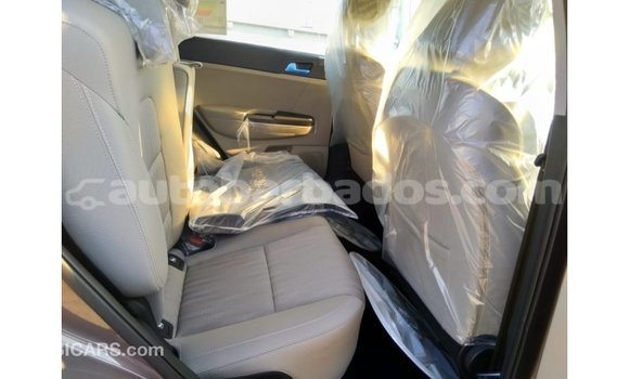 Buy Import Kia Sportage Brown Car in Import - Dubai in Barbados Buy Import Kia Sportage Brown Car in Import - Dubai in Barbados