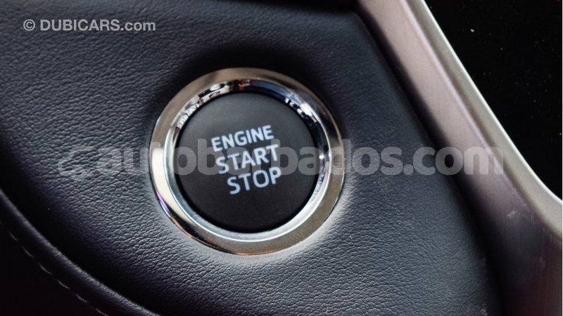 Big with watermark 1da743c0 ad03 4264 ba57 251a55b926ab