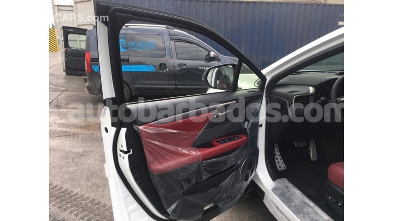 Big with watermark d37caaf6 1117 4fa8 902c f80f87fa525a