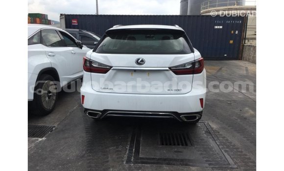 Buy Import Lexus RX 300 White Car in Import - Dubai in Barbados Buy Import Lexus RX 300 White Car in Import - Dubai in Barbados