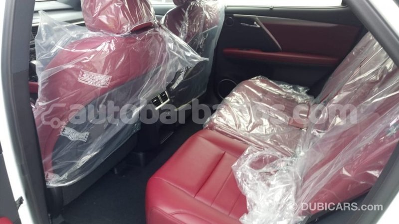 Big with watermark 3dc0304c 1c14 4f59 91b3 e208db46ca15