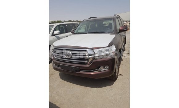 Buy Import Toyota Land Cruiser Brown Car in Import - Dubai in Barbados Buy Import Toyota Land Cruiser Brown Car in Import - Dubai in Barbados