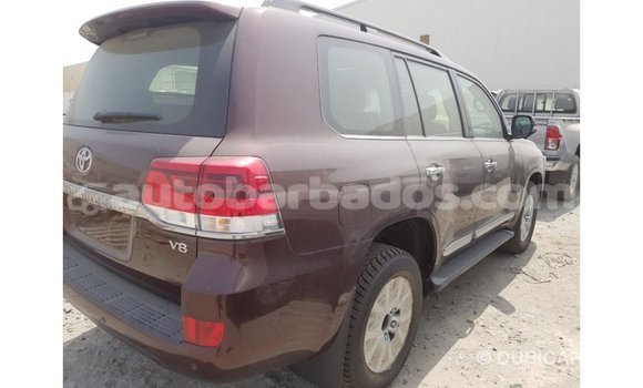 Buy Import Toyota Land Cruiser Brown Car in Import - Dubai in Barbados Buy Import Toyota Land Cruiser Brown Car in Import - Dubai in Barbados