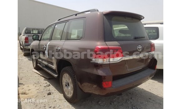 Buy Import Toyota Land Cruiser Brown Car in Import - Dubai in Barbados Buy Import Toyota Land Cruiser Brown Car in Import - Dubai in Barbados