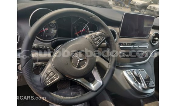 Buy Import Mercedes-Benz 250 Black Car in Import - Dubai in Barbados Buy Import Mercedes-Benz 250 Black Car in Import - Dubai in Barbados