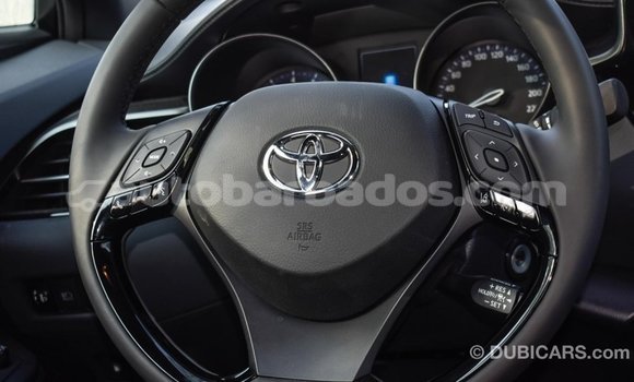 Buy Import Toyota C-HR Other Car in Import - Dubai in Barbados Buy Import Toyota C-HR Other Car in Import - Dubai in Barbados