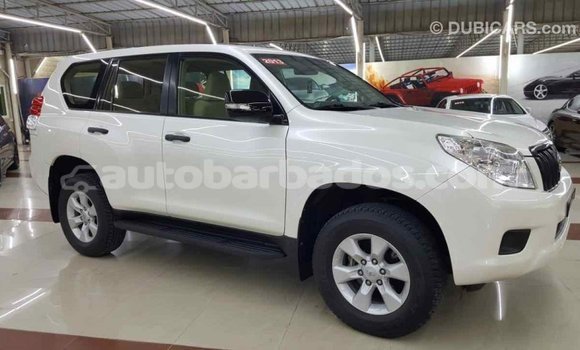 Buy Import Toyota Prado White Car in Import - Dubai in Barbados Buy Import Toyota Prado White Car in Import - Dubai in Barbados
