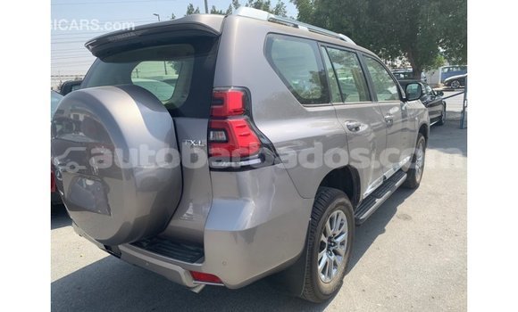 Buy Import Toyota Prado Brown Car in Import - Dubai in Barbados Buy Import Toyota Prado Brown Car in Import - Dubai in Barbados