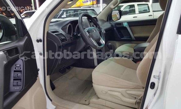 Buy Import Toyota Prado White Car in Import - Dubai in Barbados Buy Import Toyota Prado White Car in Import - Dubai in Barbados