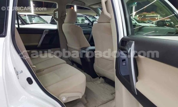 Buy Import Toyota Prado White Car in Import - Dubai in Barbados Buy Import Toyota Prado White Car in Import - Dubai in Barbados