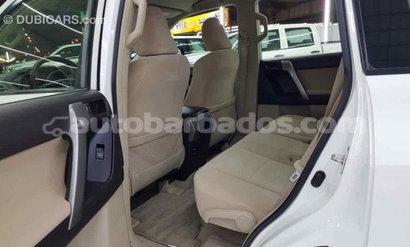 Buy Import Toyota Prado White Car in Import - Dubai in Barbados Buy Import Toyota Prado White Car in Import - Dubai in Barbados