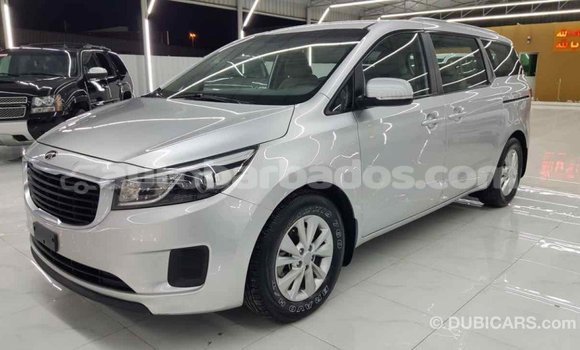 Buy Import Kia Carnival Other Car in Import - Dubai in Barbados Buy Import Kia Carnival Other Car in Import - Dubai in Barbados