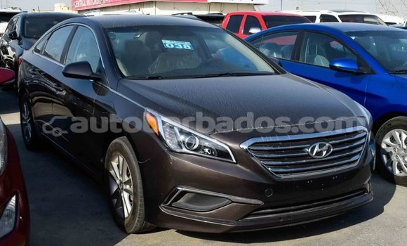 Buy Import Hyundai Sonata Brown Car in Import - Dubai in Barbados Buy Import Hyundai Sonata Brown Car in Import - Dubai in Barbados