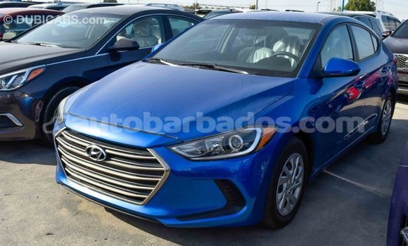 Buy Import Hyundai Elantra Blue Car in Import - Dubai in Barbados Buy Import Hyundai Elantra Blue Car in Import - Dubai in Barbados