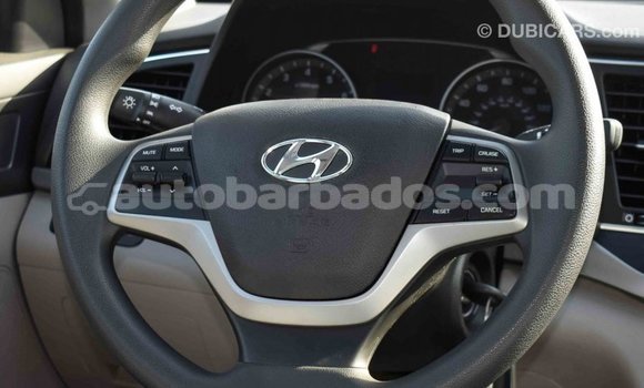 Buy Import Hyundai Elantra Blue Car in Import - Dubai in Barbados Buy Import Hyundai Elantra Blue Car in Import - Dubai in Barbados
