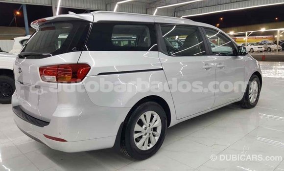 Buy Import Kia Carnival Other Car in Import - Dubai in Barbados Buy Import Kia Carnival Other Car in Import - Dubai in Barbados