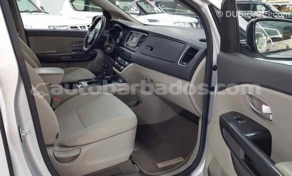 Buy Import Kia Carnival Other Car in Import - Dubai in Barbados Buy Import Kia Carnival Other Car in Import - Dubai in Barbados