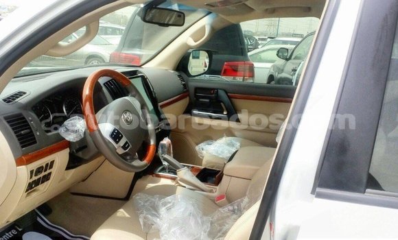 Buy Import Toyota Land Cruiser Other Car in Import - Dubai in Barbados Buy Import Toyota Land Cruiser Other Car in Import - Dubai in Barbados