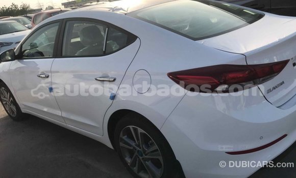 Buy Import Hyundai Elantra White Car in Import - Dubai in Barbados Buy Import Hyundai Elantra White Car in Import - Dubai in Barbados