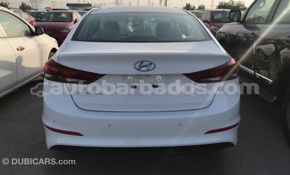 Buy Import Hyundai Elantra White Car in Import - Dubai in Barbados Buy Import Hyundai Elantra White Car in Import - Dubai in Barbados