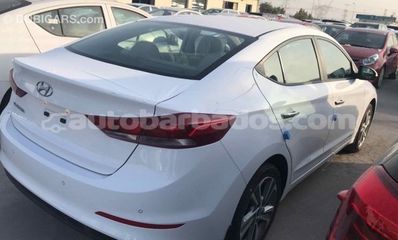 Buy Import Hyundai Elantra White Car in Import - Dubai in Barbados Buy Import Hyundai Elantra White Car in Import - Dubai in Barbados